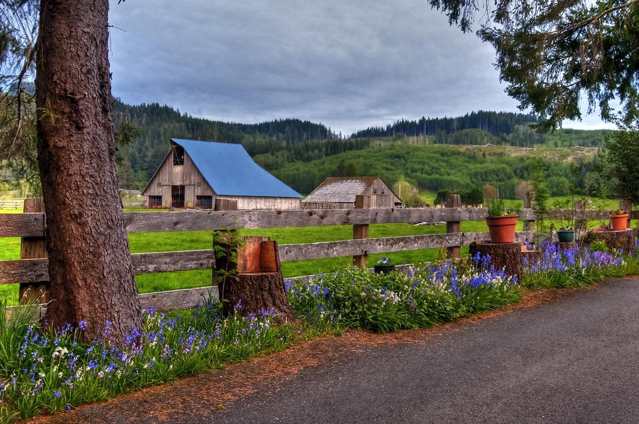 Miller Tree Inn Forks Exterior foto