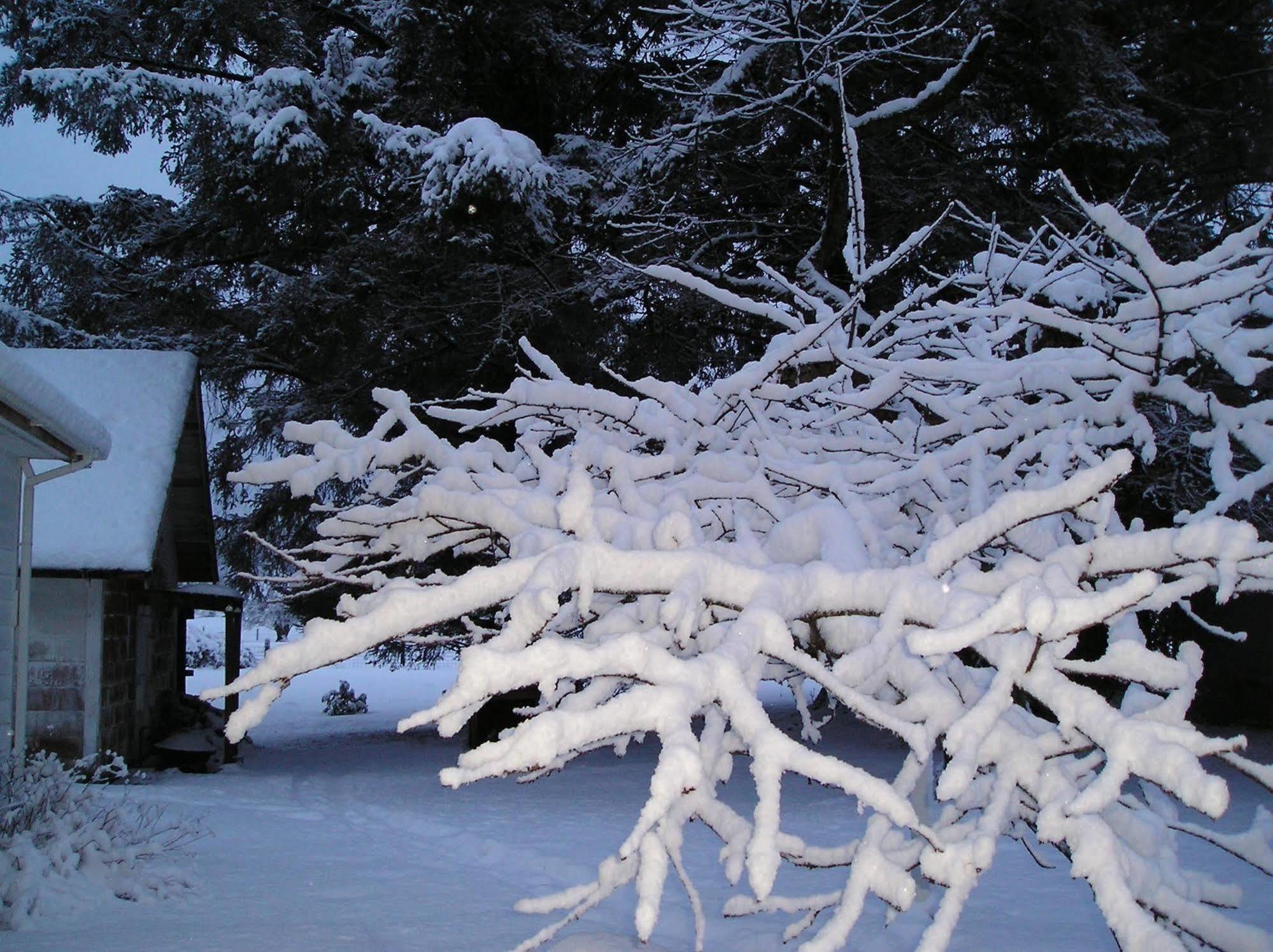 Miller Tree Inn Forks Exterior foto